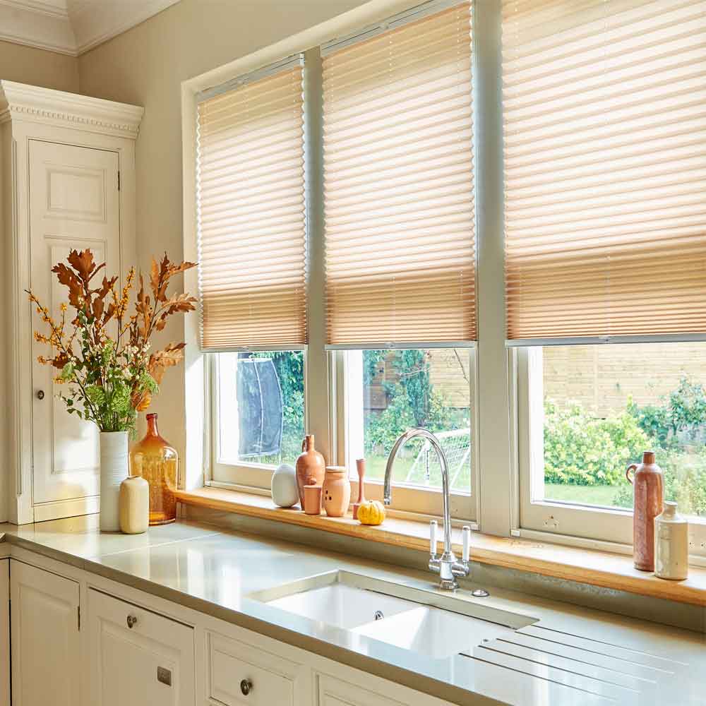 Pleated blinds in Dudley